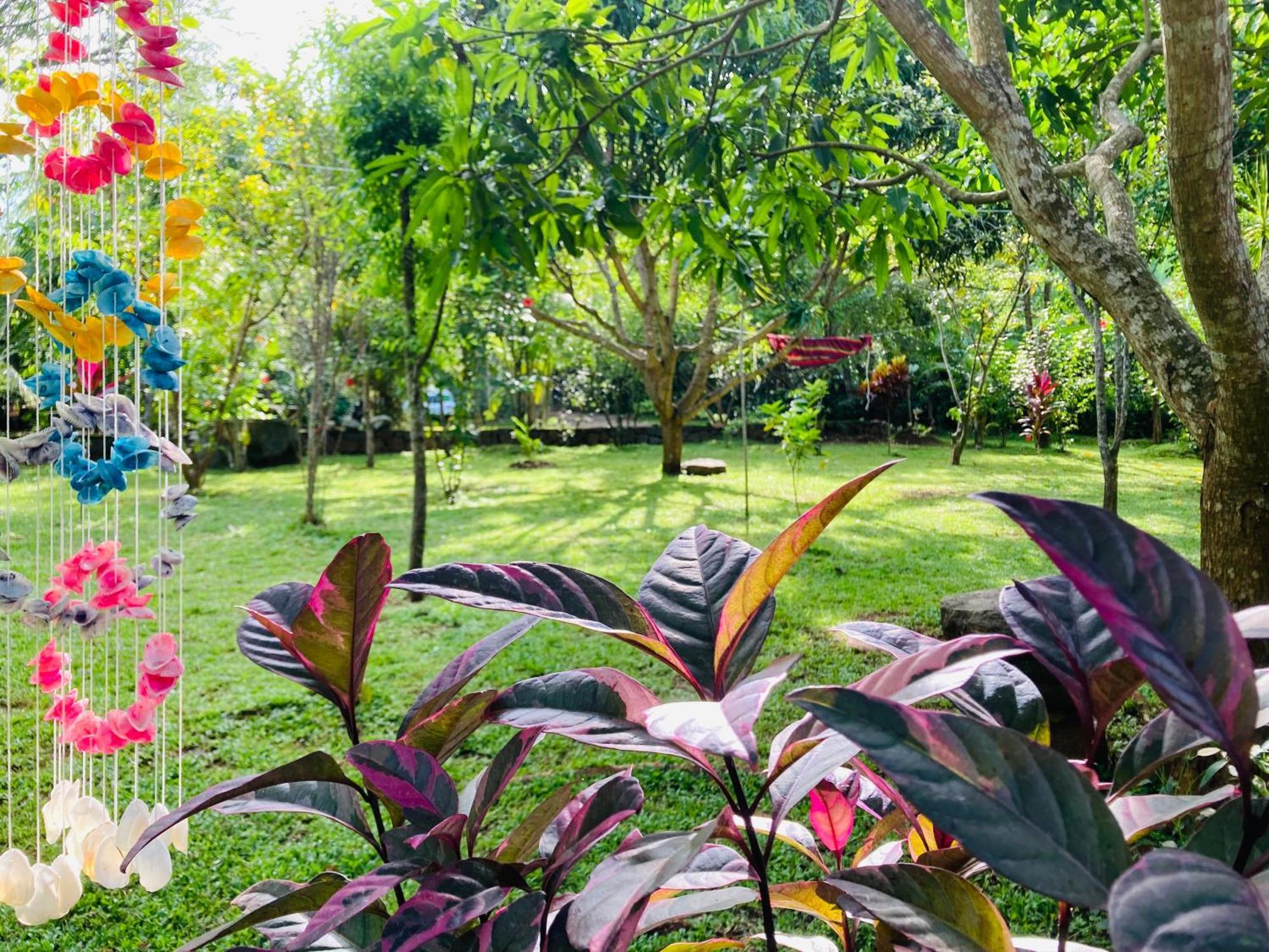 Suncity Privacy Cottages Udawalawe Exteriör bild