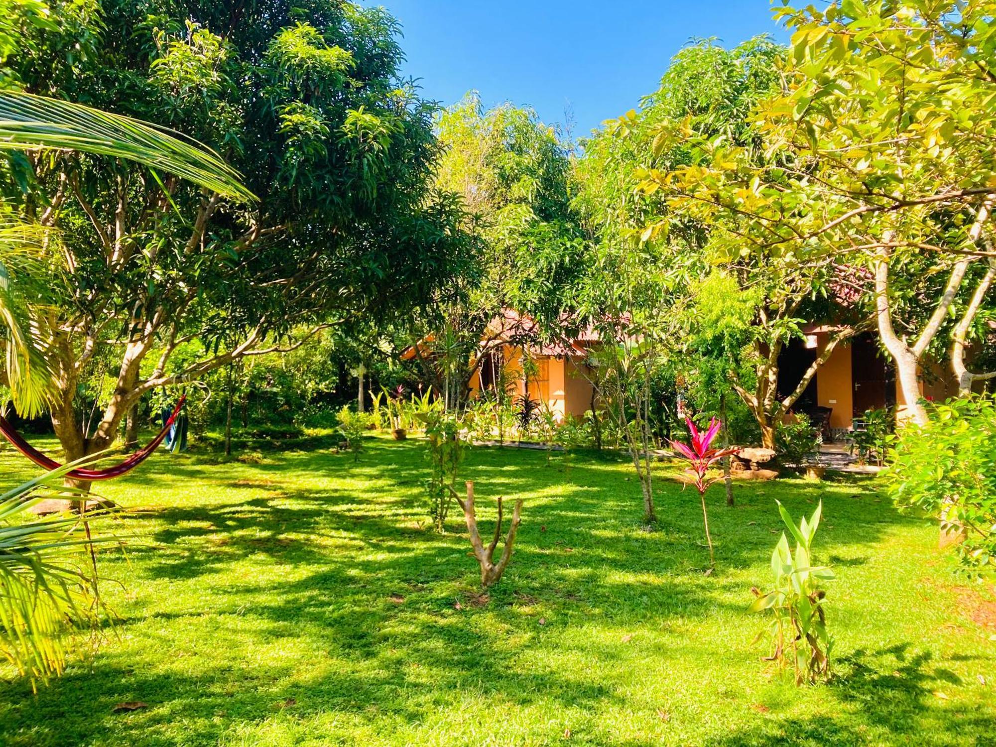 Suncity Privacy Cottages Udawalawe Exteriör bild